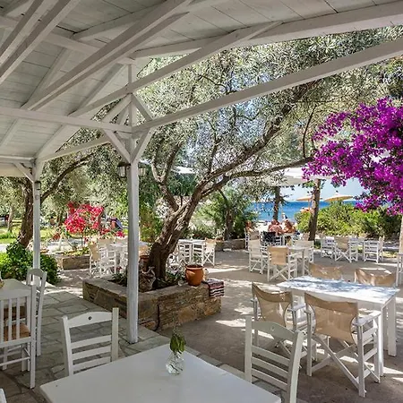 Limnonari Garden * Skopelos Town
